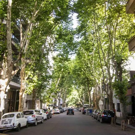 Amazing Oasis In Heart Of Palermo Hollywood -C1A- Apartment Buenos Aires Exterior photo