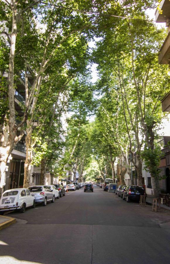 Apartamento Amazing Oasis In Heart Of Palermo Hollywood -c1a- *